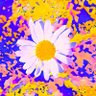 Jon's profile picture