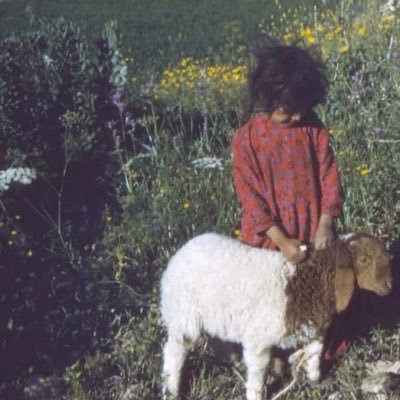 buze's profile picture
