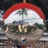 dhiya's profile picture
