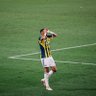 greenwood böceği profil fotoğrafı