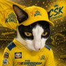 sbg's profile picture