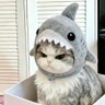 Profilbild von Erothes Nori