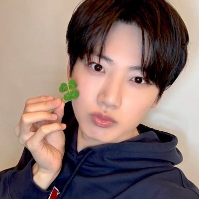 _kyu_yo's profile picture
