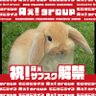 hiro♥️ profil fotoğrafı
