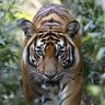 Prabha Karan's profile picture