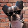 Ms.Heidi M.'s profile picture