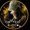 كبرياء الورد..🌸♡●•R's profile picture