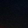 Taraneh's profile picture
