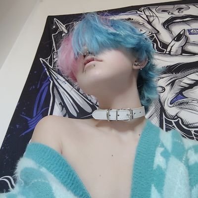 shiwaaaf's profile picture