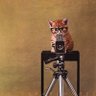 Profilbild von E11N