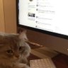 black's profile picture
