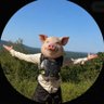 Profilbild von Miles A Foote