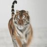 அருண்'s profile picture