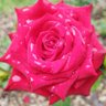 Фото профиля M. del camino R.