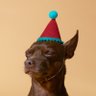 zachary's profile picture