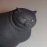 Profilbild von Ravena