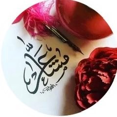 noonaa08516097's profile picture