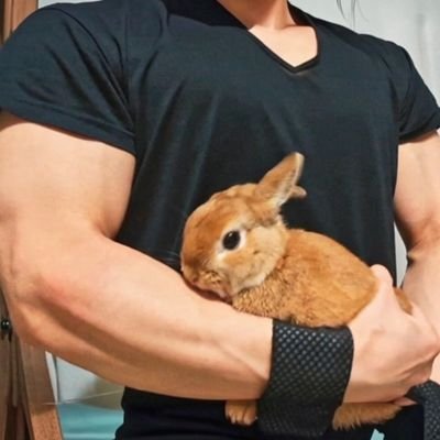 まちょ田's profile picture