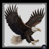 BEŞİKTAŞ's profile picture