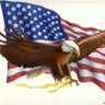 🇺🇸 MK AOK supporting the USA 🇺🇸 profil fotoğrafı