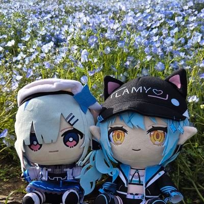 imisokanon's profile picture