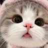 にしもとまさひろ profil fotoğrafı
