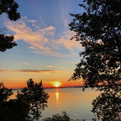 TheNaturalist's profile picture