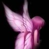 mesoೀ profil fotoğrafı