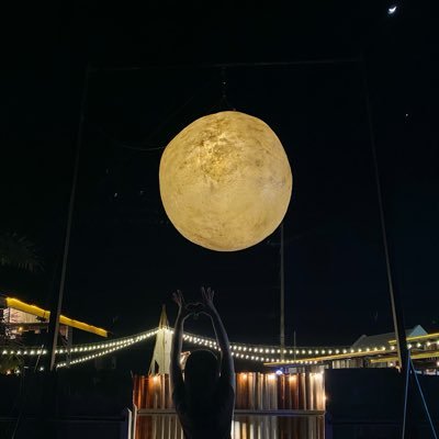 Mm.pot's profile picture