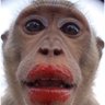 MARMO profil fotoğrafı