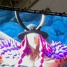 シャケオウクラーヤ(二代目) profil fotoğrafı