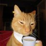 Фото профиля Sir Cat Coffee