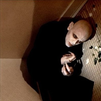 xclusivebully's profile picture