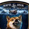 N A F O Australia 🇦🇺🇺🇦 profil fotoğrafı