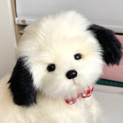 nooniie ♡̷̷̷'s profile picture