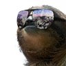 Profilbild von FastSloth87
