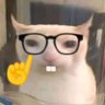 Gato Aplicado profil fotoğrafı