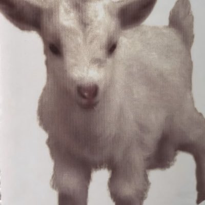 CcNan328's profile picture