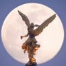 Gracie Ar Co profil fotoğrafı