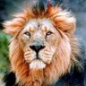 John Raj's profile picture