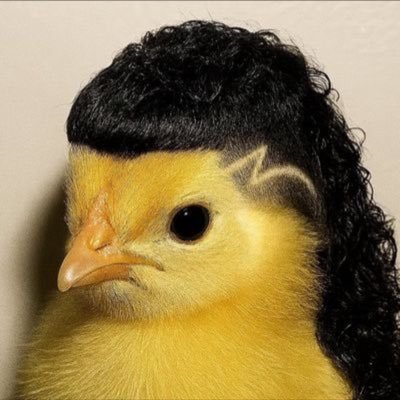 Aupadrey's profile picture