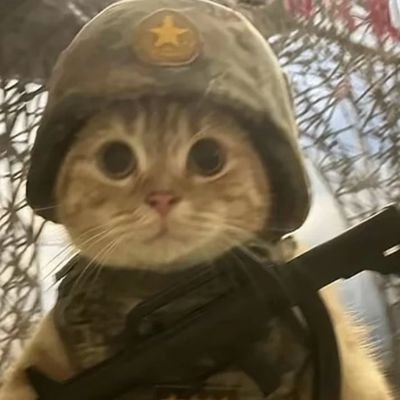 mitaolove's profile picture