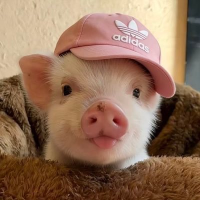 LKKYAAA's profile picture