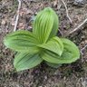 Фото профиля ひかげが好きな人