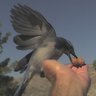 Hudiburgh profil fotoğrafı