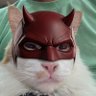 Sharkmon's profile picture