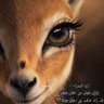 Tulipkaram's profile picture