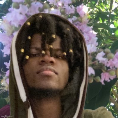 jedwill's profile picture