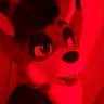 Bandit's profile picture