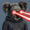 Koala 的头像